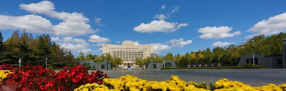 2021 China government-CSC scholarships for Russian Students at NEFU